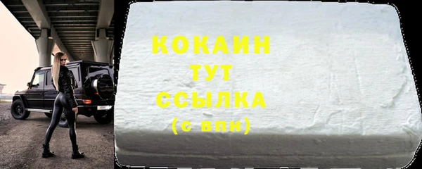 СК Бородино