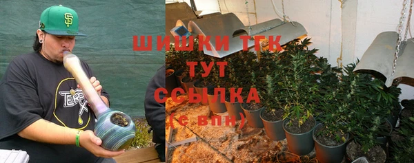 СК Бородино